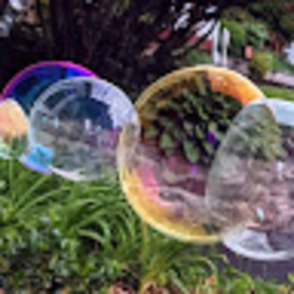 Meet your Posher, Gina